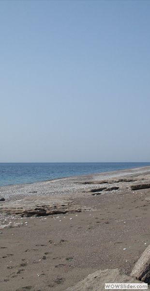 SDC13372