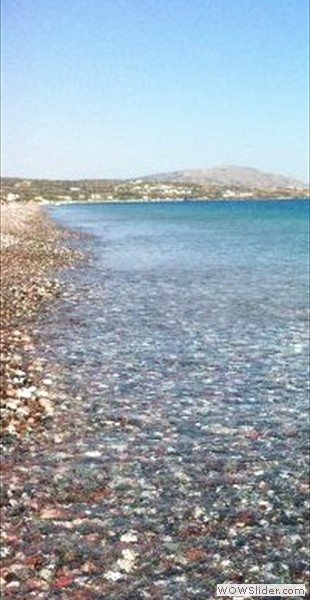 hilioravdi03